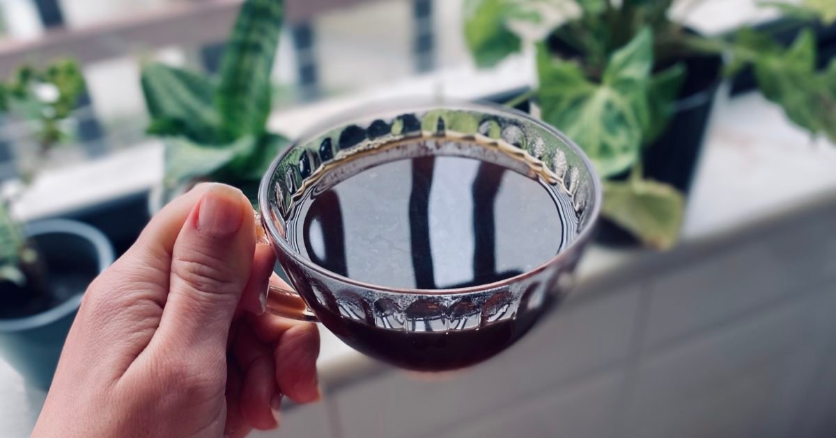 Hand holding a cup of chicory coffee